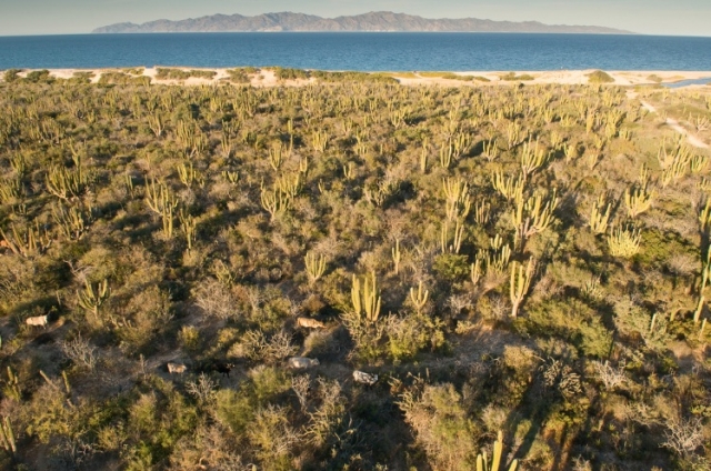Desierto de La Ventana